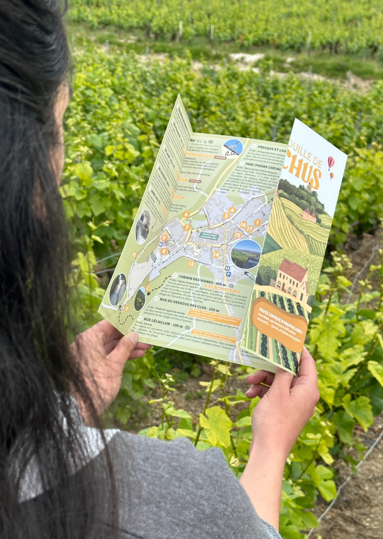 La Vadrouille de Bacchus