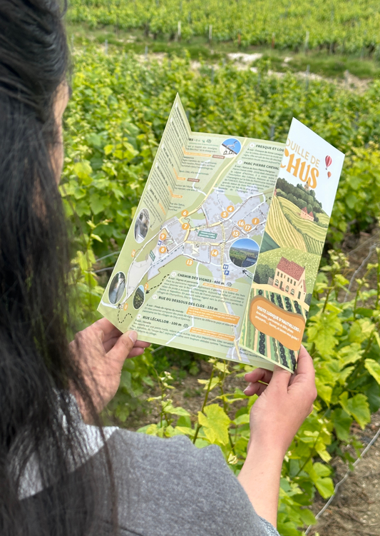 La Vadrouille de Bacchus